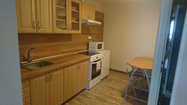 Business Apartment Zamberk